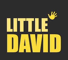 Little David