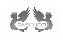 Pascucci